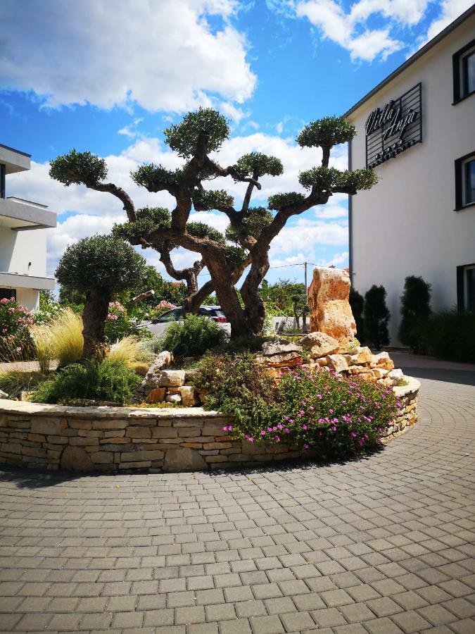 Villa Anja Peroj Dış mekan fotoğraf